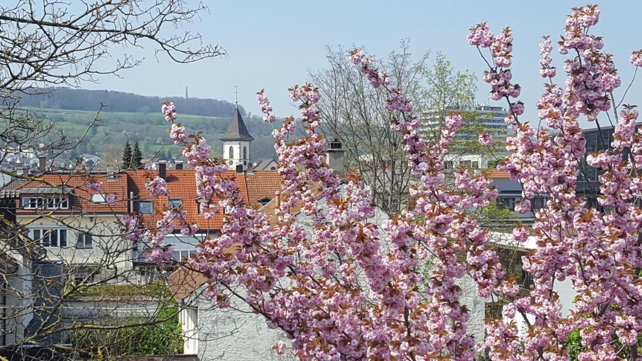 Villa Am Rosenfelspark Lörrach Extérieur photo