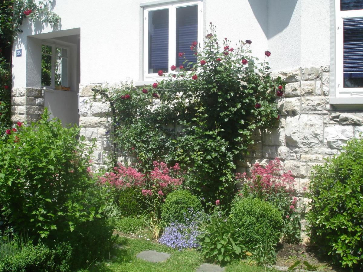 Villa Am Rosenfelspark Lörrach Extérieur photo