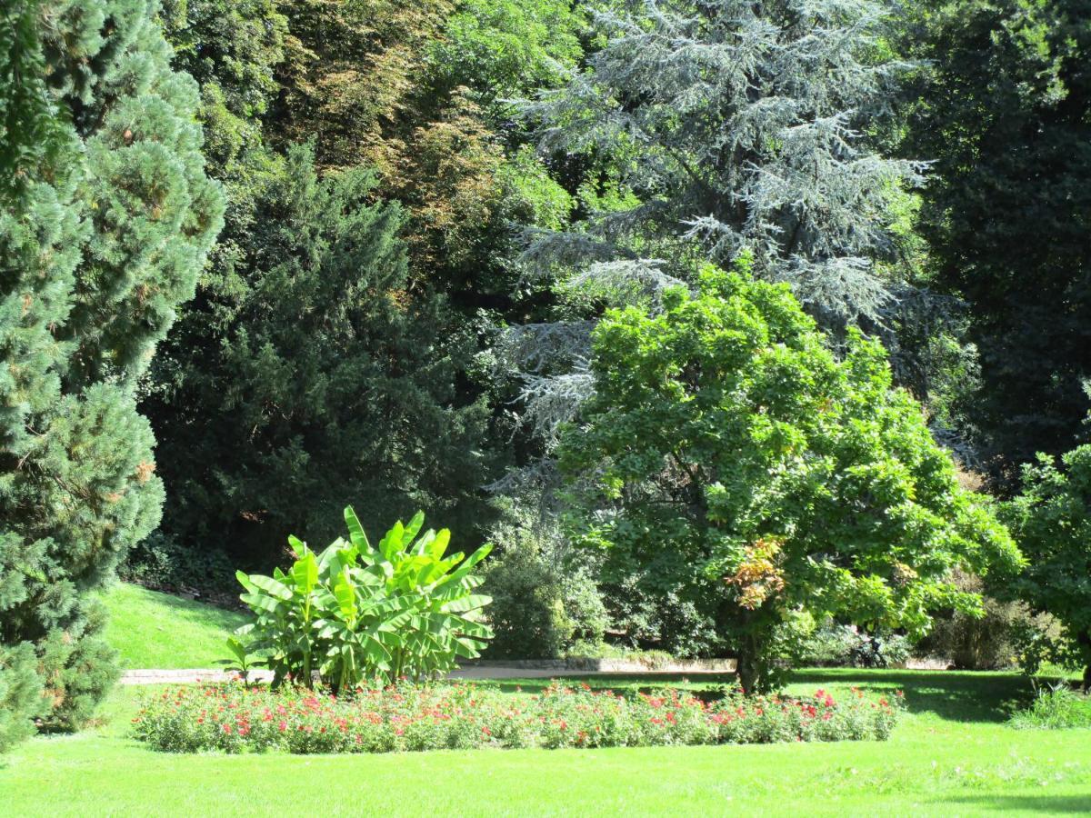 Villa Am Rosenfelspark Lörrach Extérieur photo